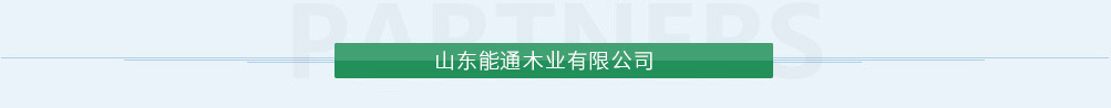 亞泰電化有限公司